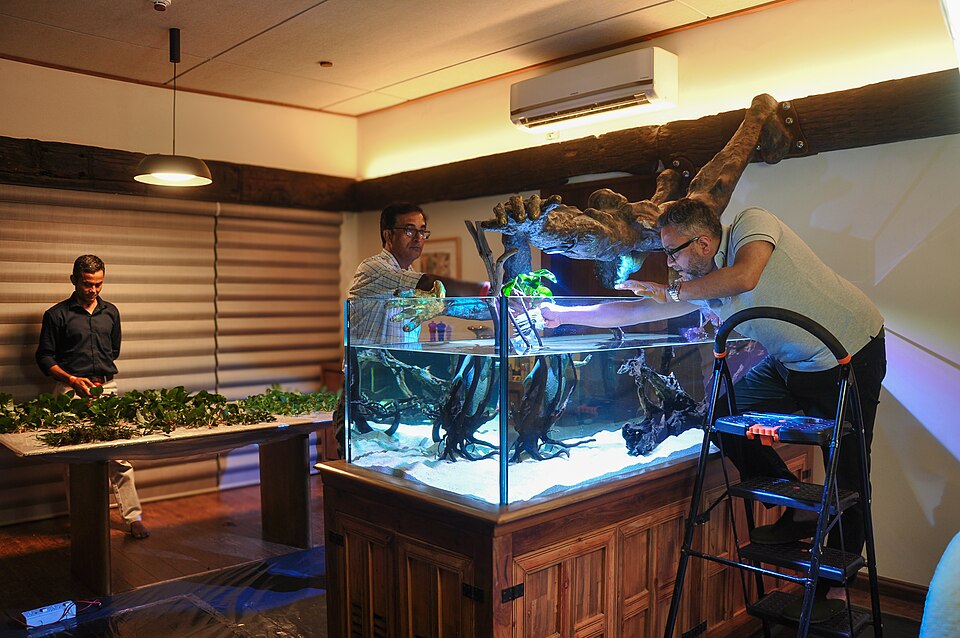 Akuarium tanaman dengan ikan hias