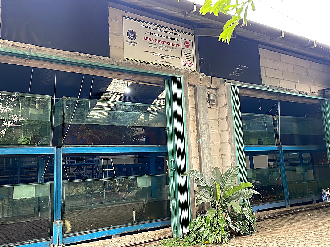 Tampak depan toko Agen Ikan Hias Depok (Marjuki)